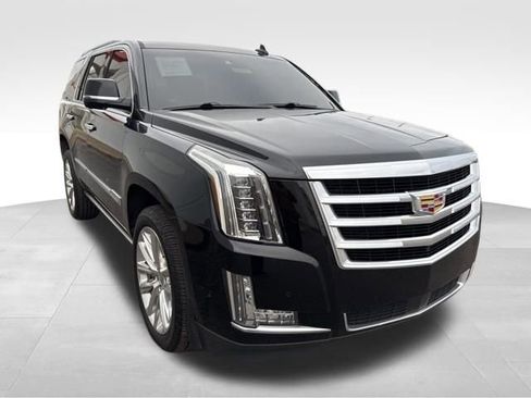 Used 2019 Cadillac Escalade Premium Luxury image 1