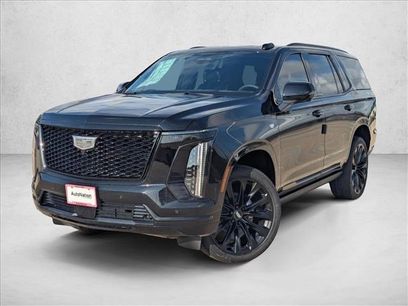 New 2026 Cadillac Escalade Platinum Sport