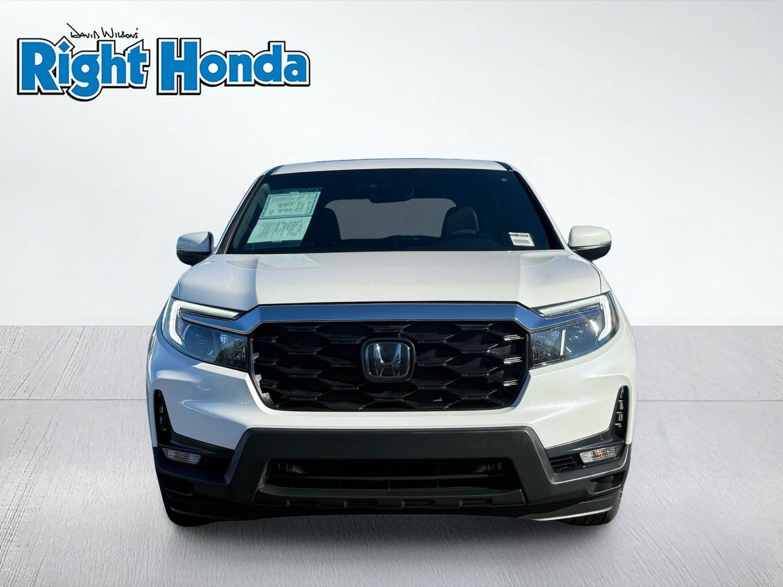 Used 2024 Honda Passport EX-L image 7