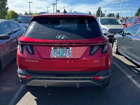 Used 2023 Hyundai Tucson Limited AWD/4WD image 1