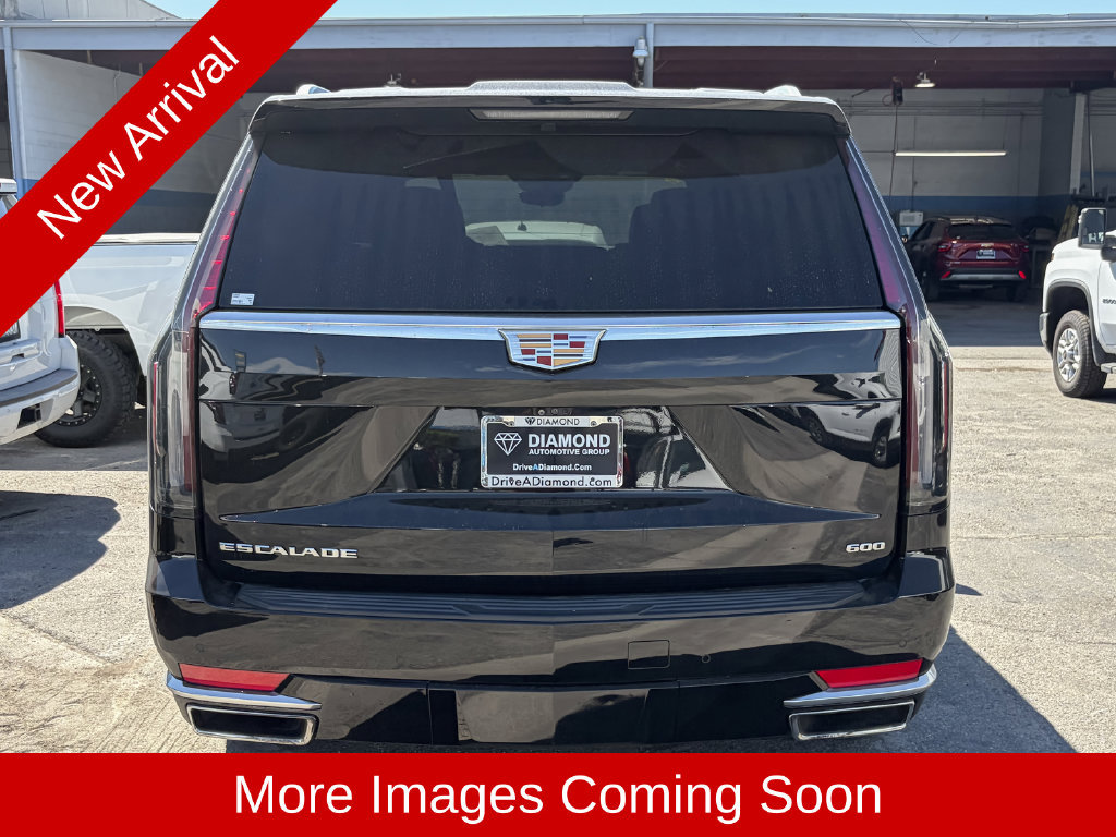 Used 2022 Cadillac Escalade ESV Premium Luxury w/ Performance Package AWD/4WD image 3