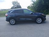Used 2022 Ford Escape SE w/ Cold Weather Package image 6