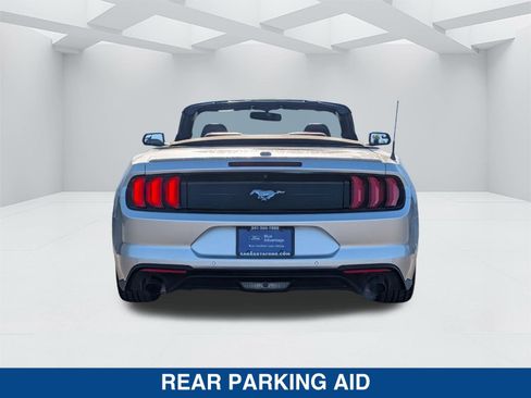 Certified 2019 Ford Mustang Premium image 5