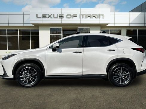 Certified 2025 Lexus NX 350h AWD w/ Cold Area Package image 2