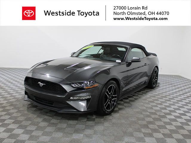 Used 2019 Ford Mustang Premium RWD image 1
