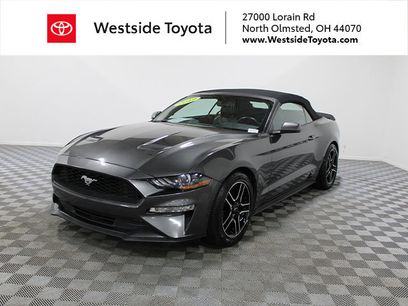 Used 2019 Ford Mustang Premium
