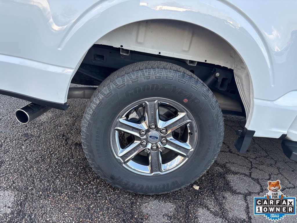 Used 2025 Ford F150 XLT w/ Equipment Group 301A Standard AWD/4WD image 11