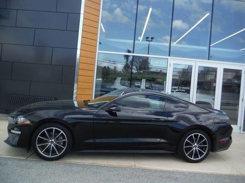 Used 2019 Ford Mustang Premium w/ Wheel & Stripe Package RWD image 2