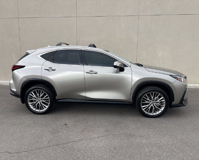 Used 2025 Lexus NX 350h AWD w/ Cold Area Package image 5