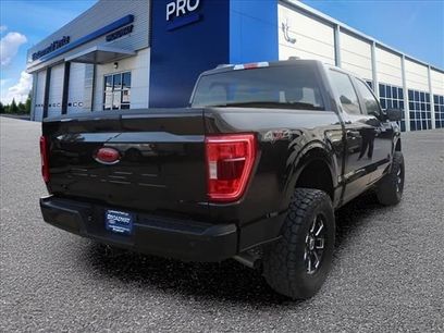 New 2023 Ford F150 XLT w/ Bed Utility Package