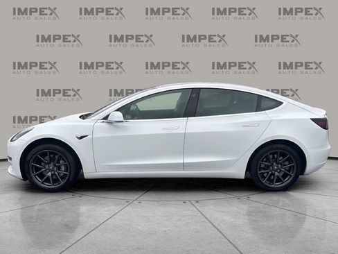 Used 2019 Tesla Model 3 Standard Range Plus image 2