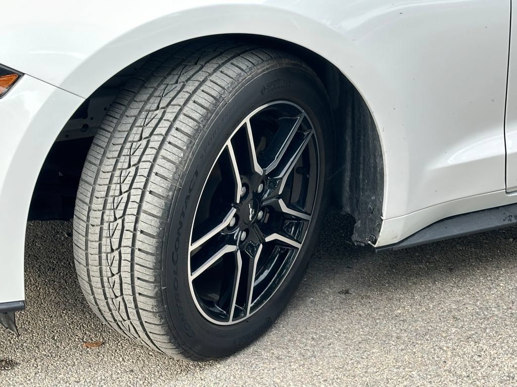 Used 2020 Ford Mustang Coupe RWD image 10