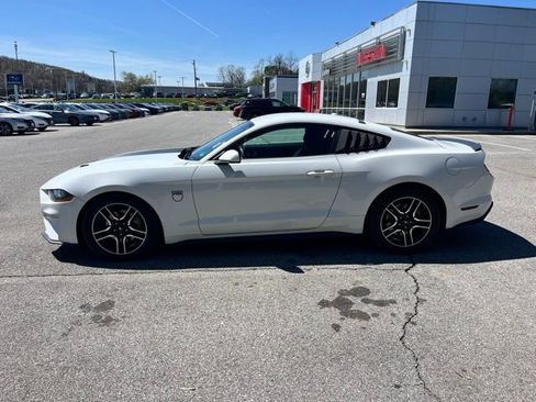 Used 2019 Ford Mustang Coupe w/ Equipment Group 101A image 4