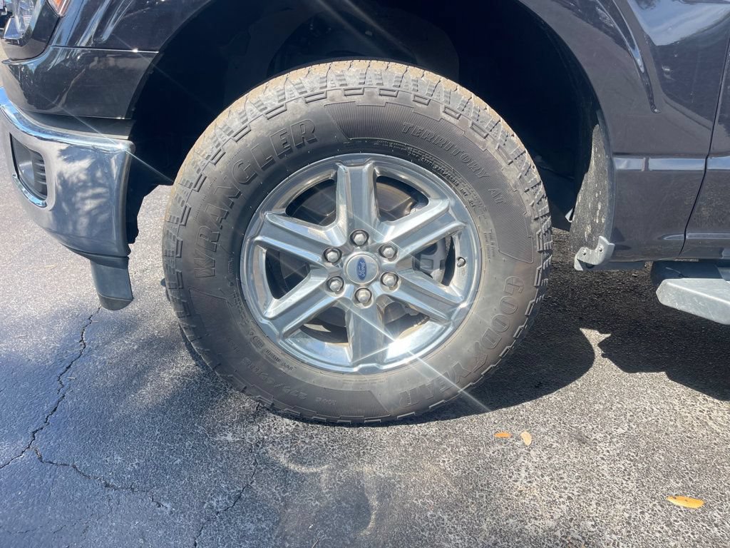 Used 2025 Ford F150 XLT w/ Equipment Group 301A Standard AWD/4WD image 10