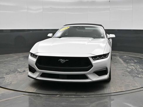 Used 2024 Ford Mustang Premium RWD image 3