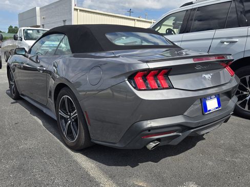 Used 2024 Ford Mustang Premium RWD image 5