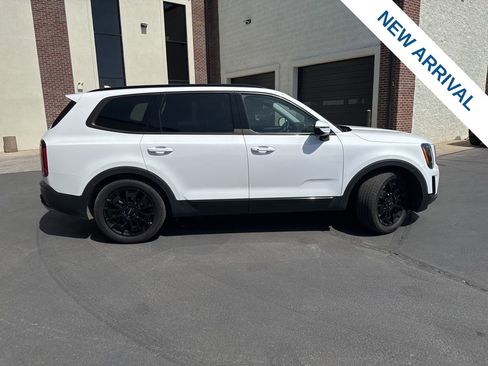 Used 2022 Kia Telluride SX w/ SX Prestige Package image 8