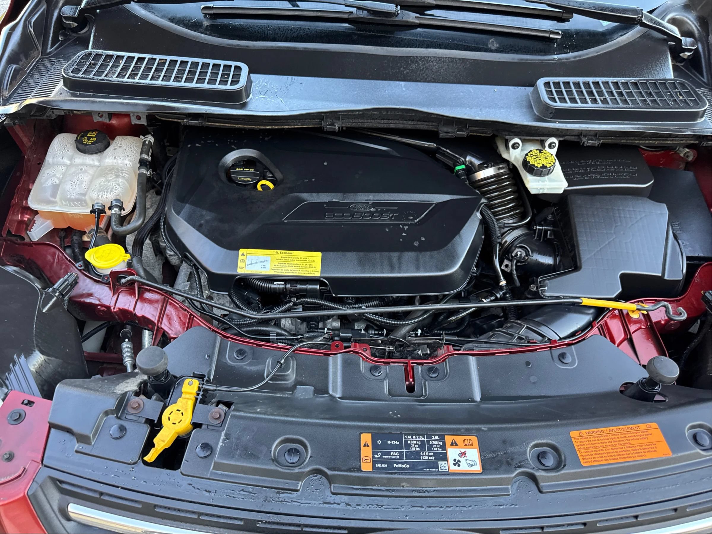 Used 2014 Ford Escape SE w/ Equipment Group 201A FWD image 13