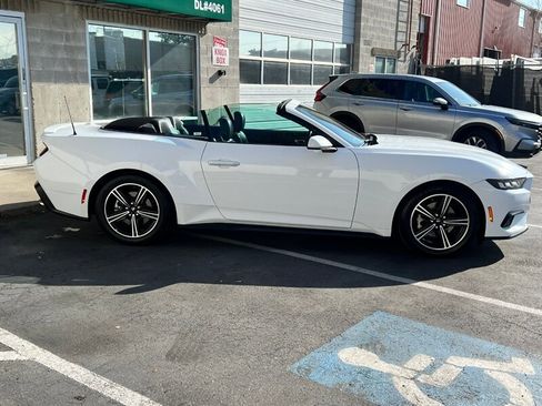 Used 2024 Ford Mustang Premium image 8