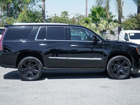 Used 2019 Cadillac Escalade Premium Luxury RWD image 14