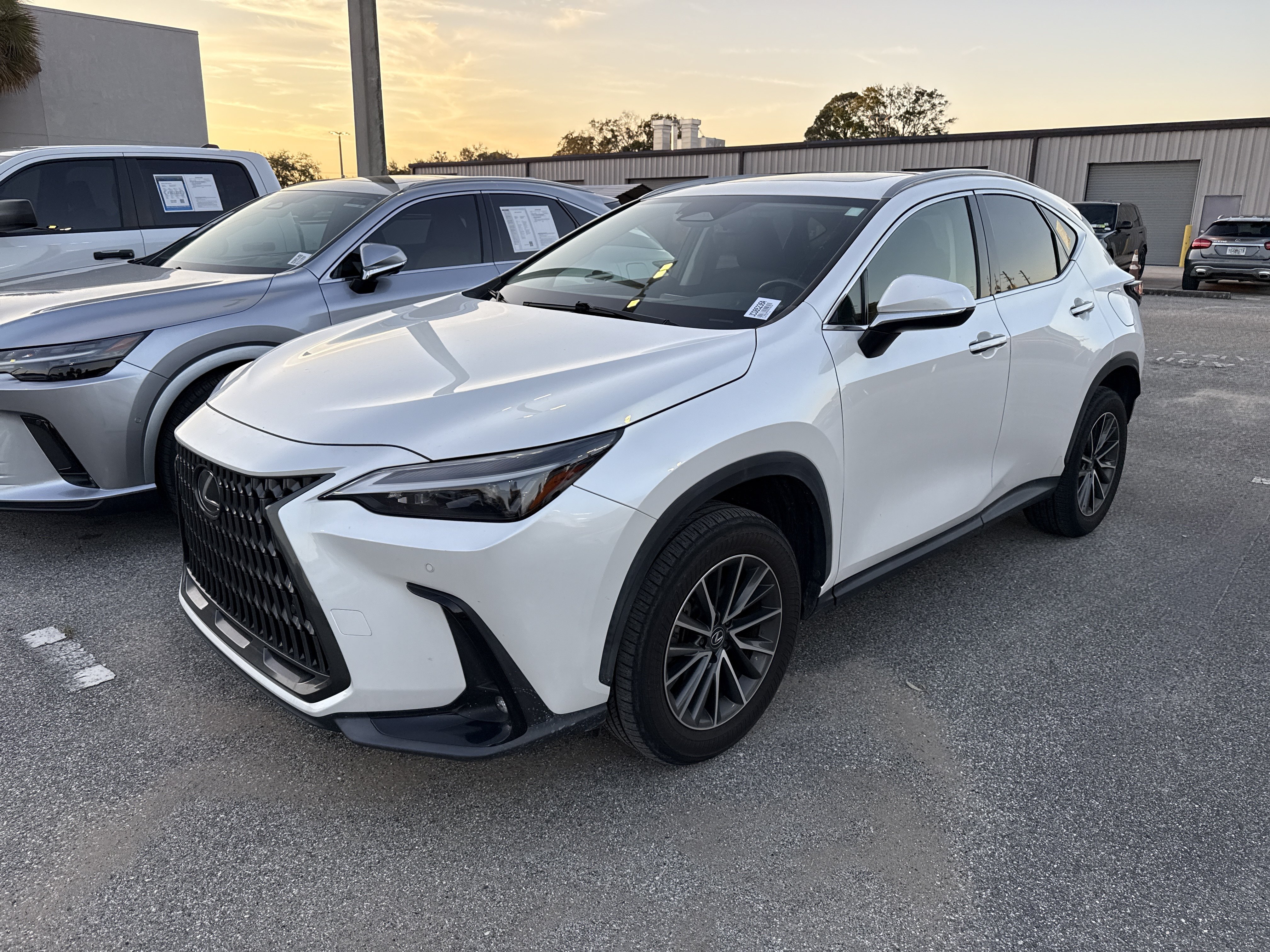 Used 2024 Lexus NX 250 FWD image 2