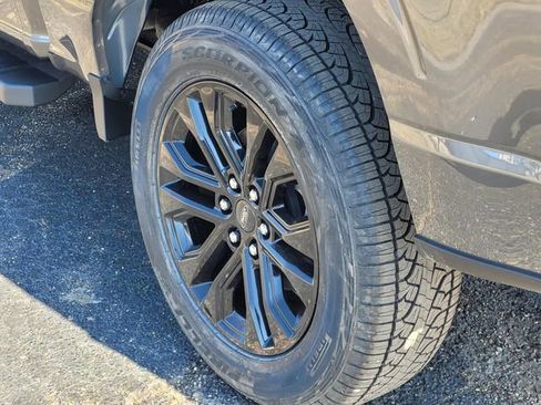 New 2026 Ford F150 XLT w/ Equipment Group 302A MID AWD/4WD image 5