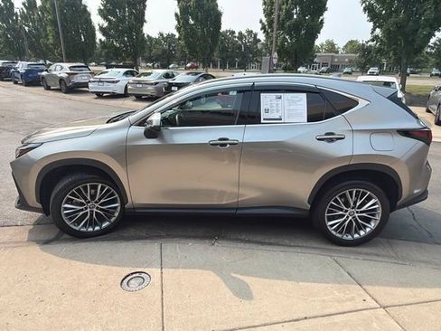 Used 2023 Lexus NX 350 AWD w/ Cold Area Package image 4