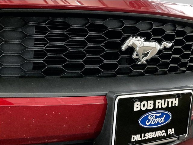 Used 2019 Ford Mustang Premium w/ Equipment Group 201A RWD image 29