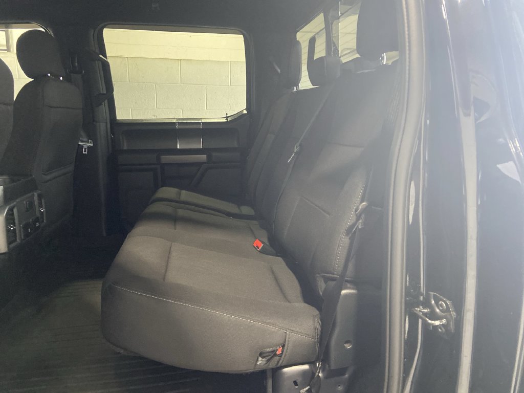 Used 2019 Ford F150 XLT w/ Equipment Group 302A Luxury AWD/4WD image 24