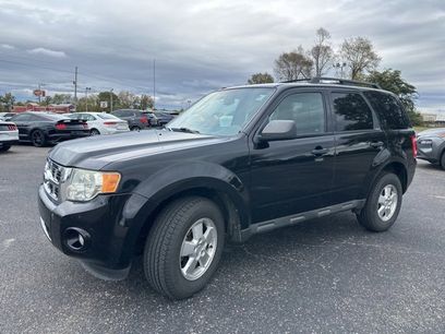 Used 2010 Ford Escape XLT