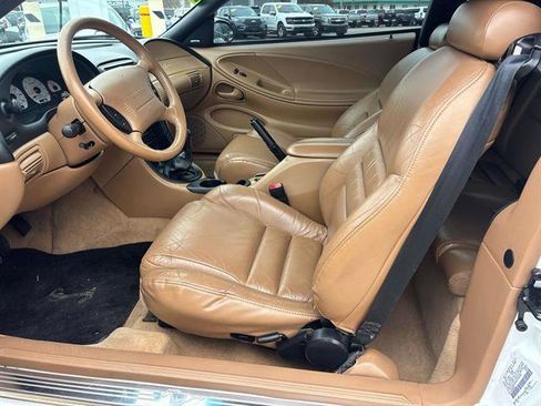 Used 1998 Ford Mustang Cobra image 11