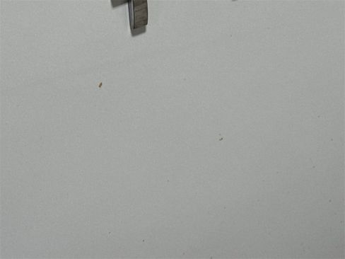 Used 2018 Chevrolet Traverse Premier w/ Driver Confidence II Package image 34