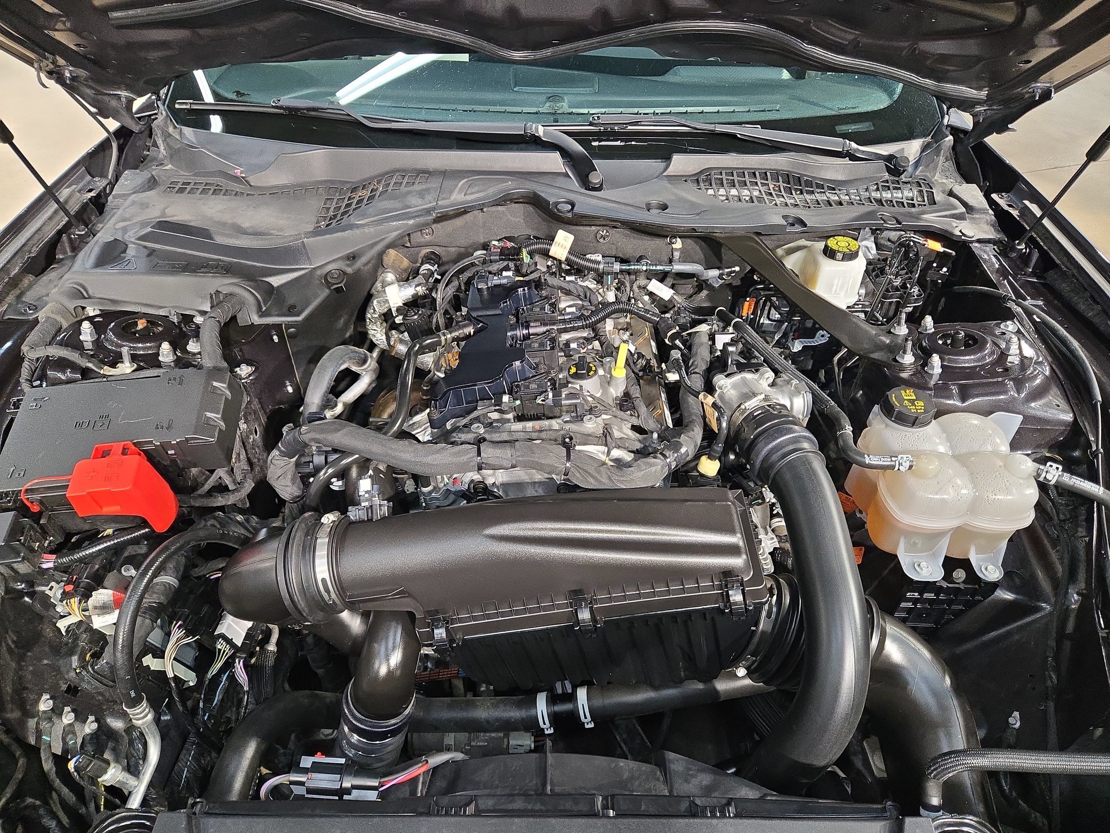 Used 2024 Ford Mustang Premium RWD image 19