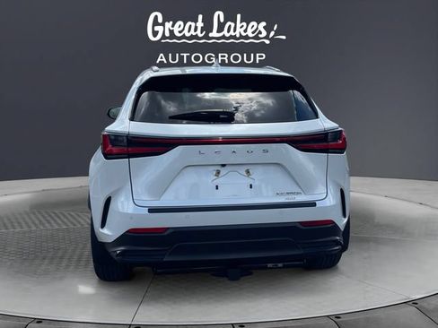 Used 2024 Lexus NX 350h AWD image 4
