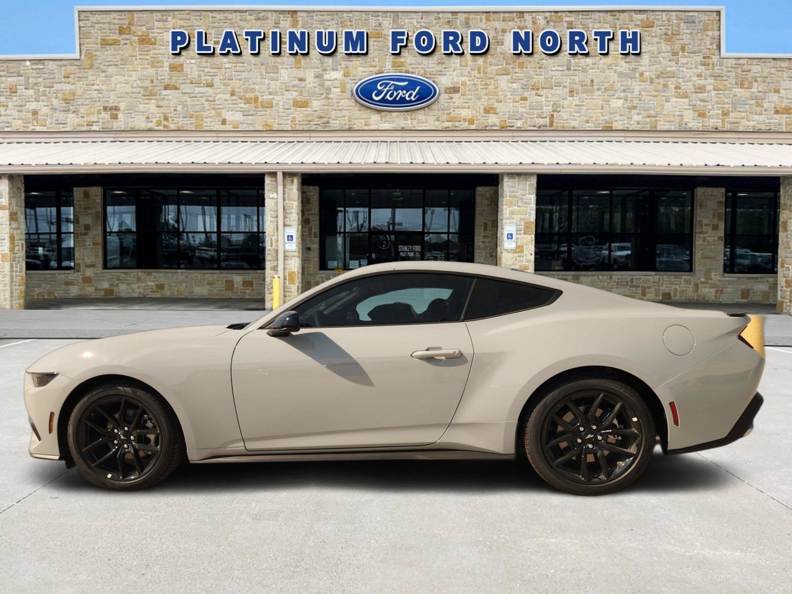 New 2026 Ford Mustang Coupe w/ Mustang Nite Pony Package RWD image 3