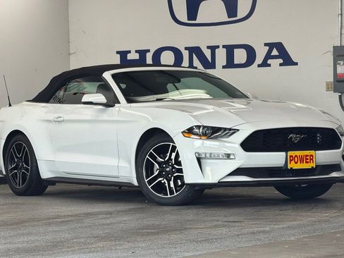 Used 2019 Ford Mustang Premium RWD image 9