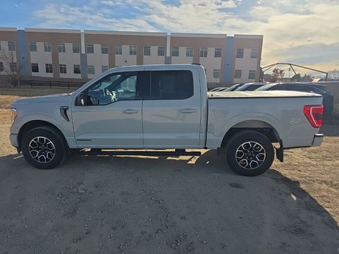 Used 2023 Ford F150 XLT w/ Equipment Group 302A High image 2