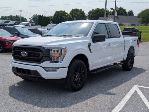 Used 2023 Ford F150 XLT w/ Equipment Group 302A High AWD/4WD image 7