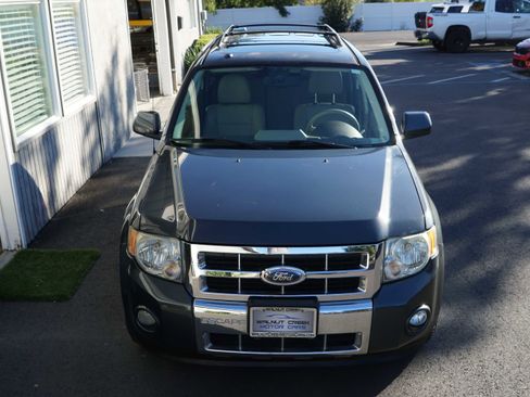 Used 2009 Ford Escape Limited image 5