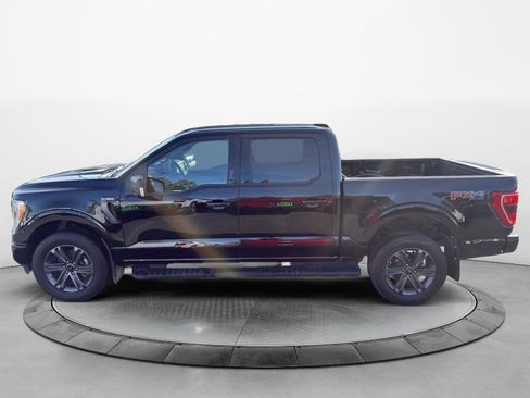 Used 2023 Ford F150 XLT w/ Equipment Group 302A High image 2