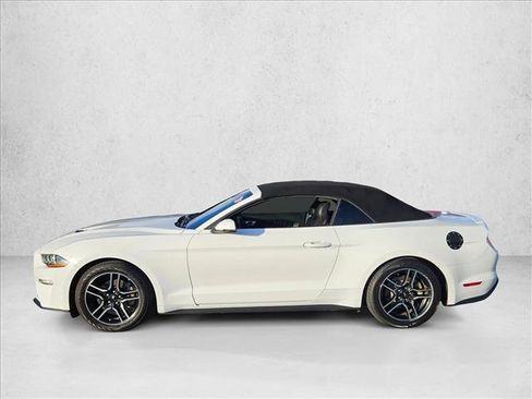 Used 2019 Ford Mustang Premium image 9