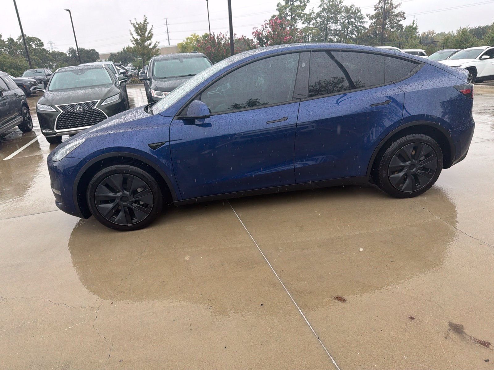 Used 2024 Tesla Model Y Long Range AWD/4WD image 2