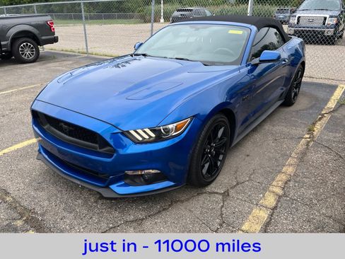 Used 2017 Ford Mustang GT Premium w/ Equipment Group 401A RWD image 1
