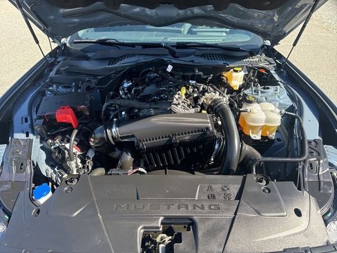 Used 2025 Ford Mustang Coupe w/ Mustang Nite Pony Package image 27