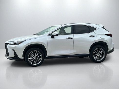Used 2025 Lexus NX 350 AWD w/ Accessory Package (2T) image 8