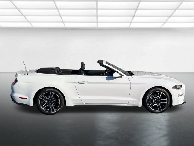 Certified 2021 Ford Mustang Premium RWD image 3