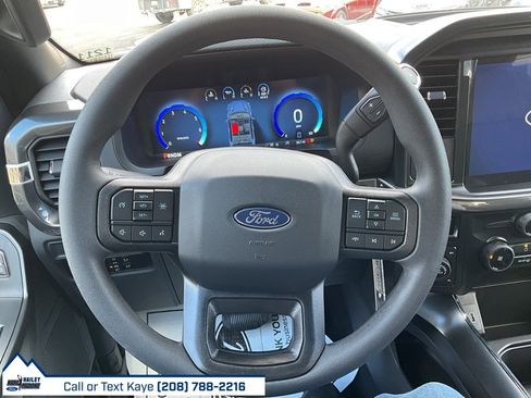 New 2025 Ford F150 STX w/ Equipment Group 200A image 19