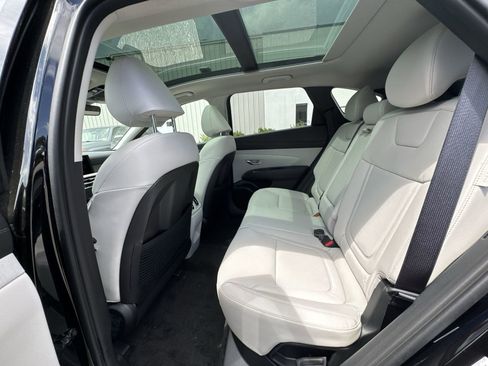 Used 2025 Hyundai Tucson Limited image 14