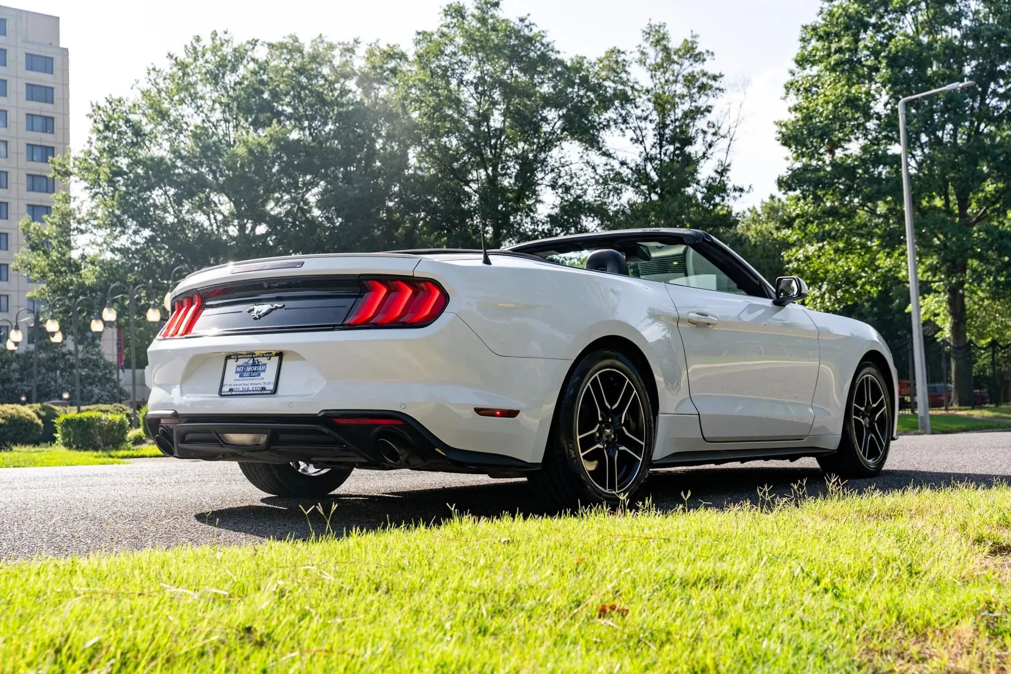Used 2021 Ford Mustang Premium RWD image 5