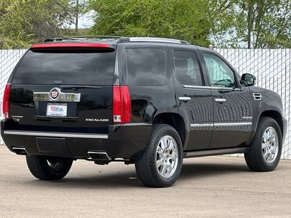 Used 2014 Cadillac Escalade Platinum